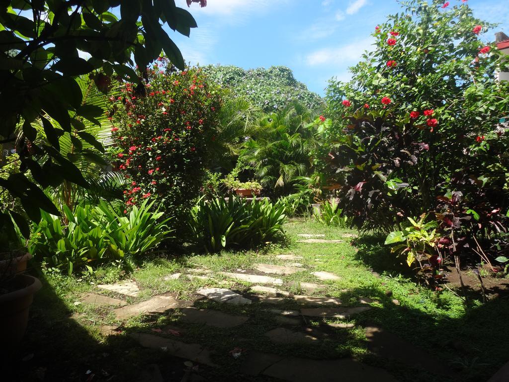 Harvest House Nicaragua Hotel León Exterior foto